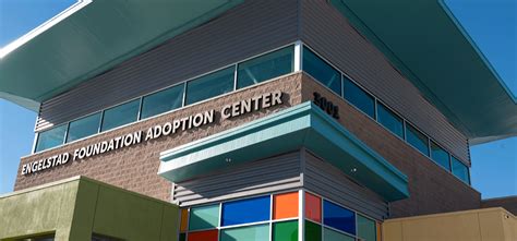 animal adoption foundation las vegas.